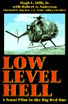 Bookcover: Low Level Hell