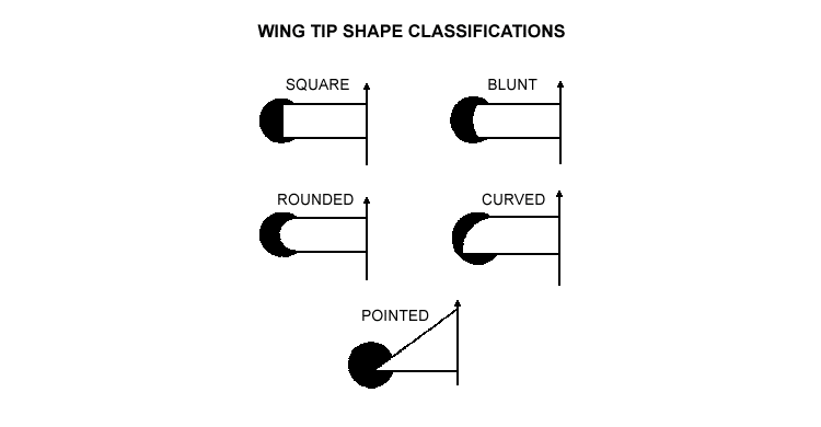 Drawing: Wing Tip Shape Classifications
